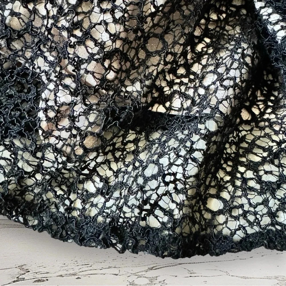 Alex Evenings All Over Lace A-Line Gown Dress Black Nude Size 14 - Picture 8 of 11